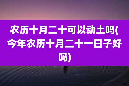 农历十月二十可以动土吗(今年农历十月二十一日子好吗)