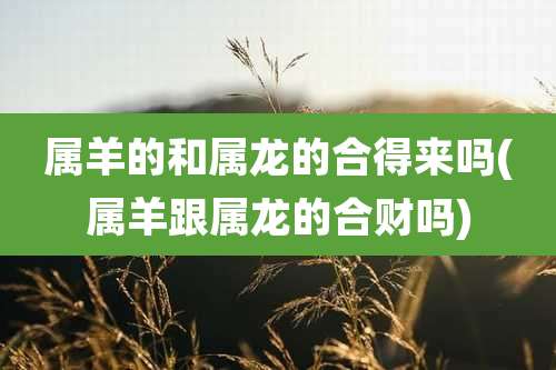 属羊的和属龙的合得来吗(属羊跟属龙的合财吗)