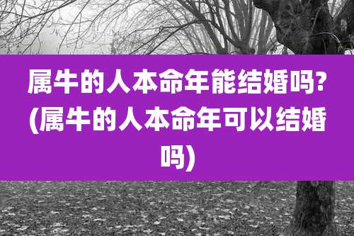 属牛的人本命年能结婚吗?(属牛的人本命年可以结婚吗)