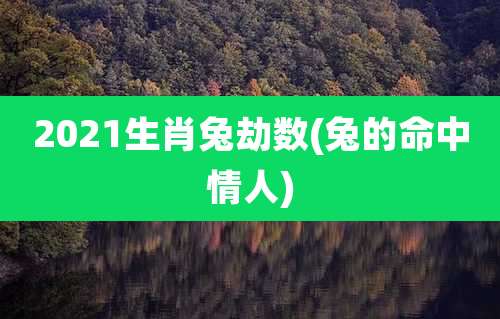 2021生肖兔劫数(兔的命中情人)