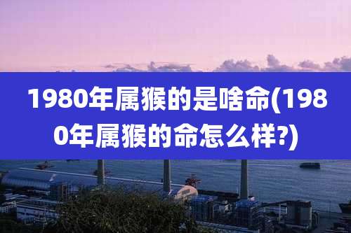 1980年属猴的是啥命(1980年属猴的命怎么样?)