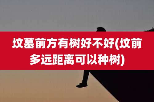 坟墓前方有树好不好(坟前多远距离可以种树)