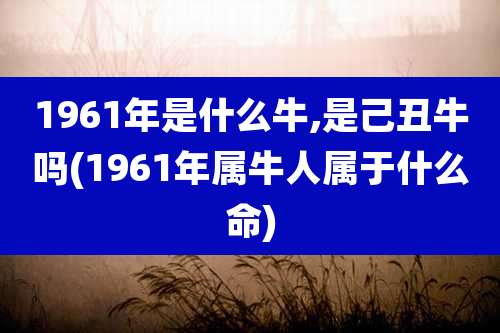 1961年是什么牛,是己丑牛吗(1961年属牛人属于什么命)