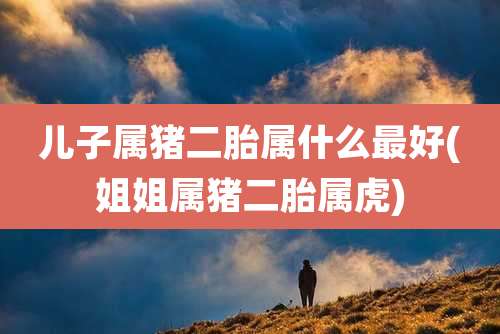 儿子属猪二胎属什么最好(姐姐属猪二胎属虎)