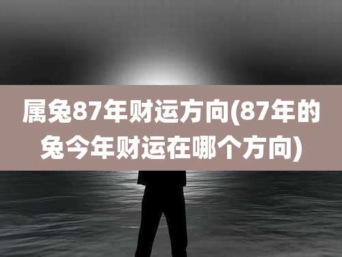 属兔87年财运方向(87年的兔今年财运在哪个方向)