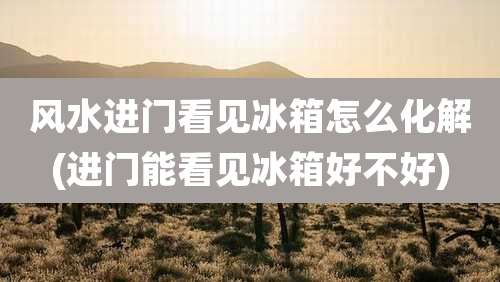 风水进门看见冰箱怎么化解(进门能看见冰箱好不好)
