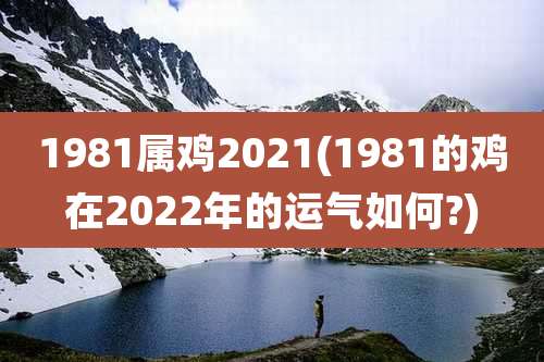 1981属鸡2021(1981的鸡在2022年的运气如何?)
