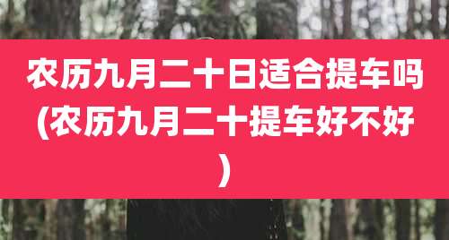 农历九月二十日适合提车吗(农历九月二十提车好不好)