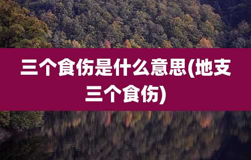 三个食伤是什么意思(地支三个食伤)
