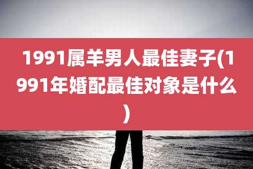 1991属羊男人最佳妻子(1991年婚配最佳对象是什么)