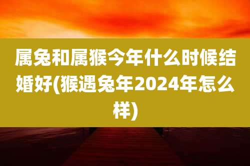 属兔和属猴今年什么时候结婚好(猴遇兔年2024年怎么样)