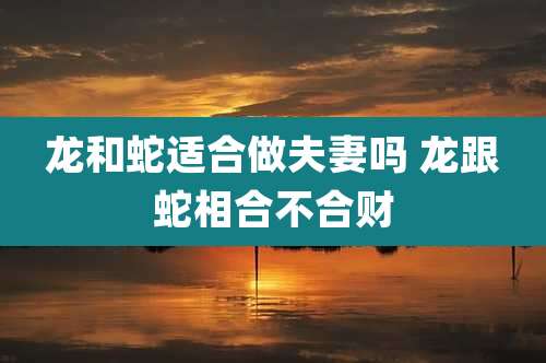 龙和蛇适合做夫妻吗 龙跟蛇相合不合财