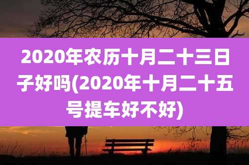 2020年农历十月二十三日子好吗(2020年十月二十五号提车好不好)