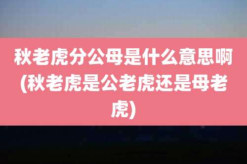 秋老虎分公母是什么意思啊(秋老虎是公老虎还是母老虎)