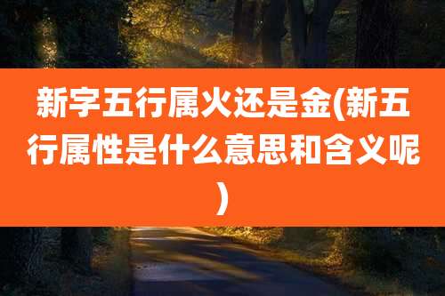 新字五行属火还是金(新五行属性是什么意思和含义呢)