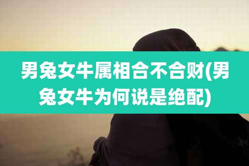 男兔女牛属相合不合财(男兔女牛为何说是绝配)