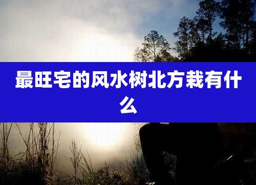 最旺宅的风水树北方栽有什么