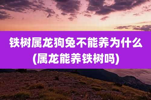 铁树属龙狗兔不能养为什么(属龙能养铁树吗)