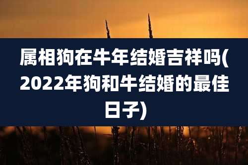 属相狗在牛年结婚吉祥吗(2022年狗和牛结婚的最佳日子)