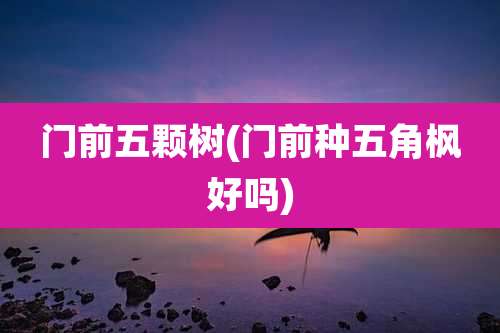门前五颗树(门前种五角枫好吗)