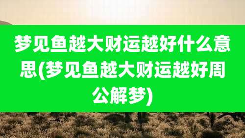 梦见鱼越大财运越好什么意思(梦见鱼越大财运越好周公解梦)