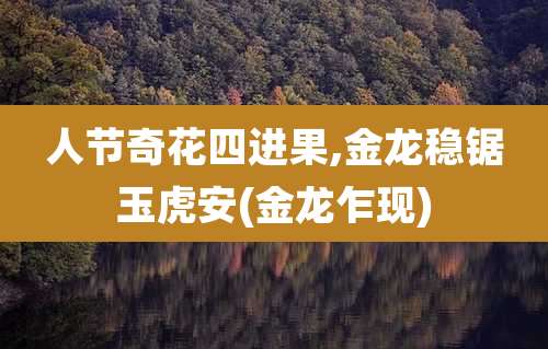 人节奇花四进果,金龙稳锯玉虎安(金龙乍现)