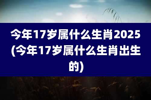 今年17岁属什么生肖2025(今年17岁属什么生肖出生的)