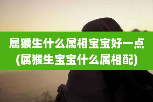 属猴生什么属相宝宝好一点(属猴生宝宝什么属相配)