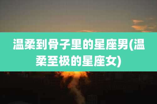 温柔到骨子里的星座男(温柔至极的星座女)