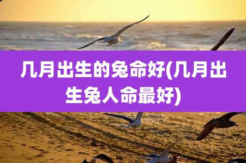 几月出生的兔命好(几月出生兔人命最好)