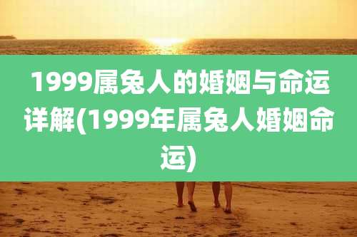 1999属兔人的婚姻与命运详解(1999年属兔人婚姻命运)