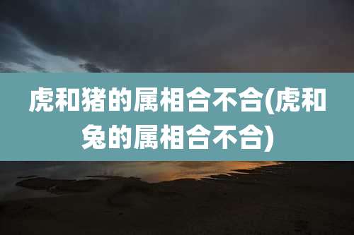 虎和猪的属相合不合(虎和兔的属相合不合)
