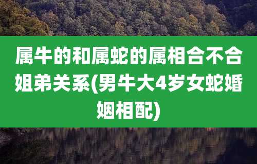 属牛的和属蛇的属相合不合姐弟关系(男牛大4岁女蛇婚姻相配)