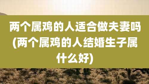 两个属鸡的人适合做夫妻吗(两个属鸡的人结婚生子属什么好)
