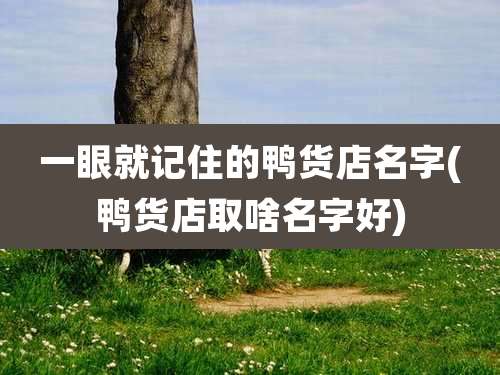 一眼就记住的鸭货店名字(鸭货店取啥名字好)