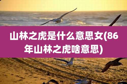 山林之虎是什么意思女(86年山林之虎啥意思)