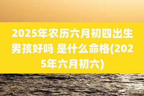 2025年农历六月初四出生男孩好吗 是什么命格(2025年六月初六)