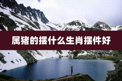 属猪的摆什么生肖摆件好