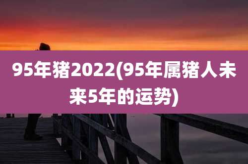 95年猪2022(95年属猪人未来5年的运势)