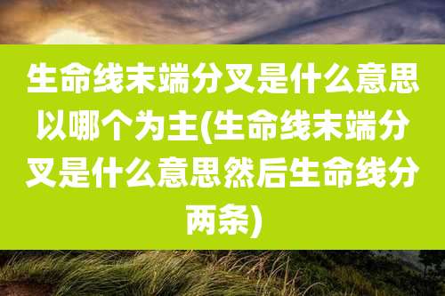 生命线末端分叉是什么意思以哪个为主(生命线末端分叉是什么意思然后生命线分两条)