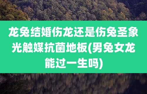 龙兔结婚伤龙还是伤兔圣象光触媒抗菌地板(男兔女龙能过一生吗)
