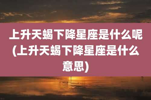 上升天蝎下降星座是什么呢(上升天蝎下降星座是什么意思)