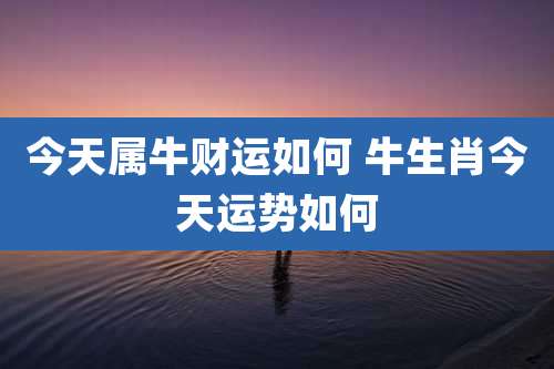 今天属牛财运如何 牛生肖今天运势如何