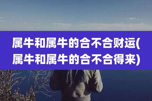 属牛和属牛的合不合财运(属牛和属牛的合不合得来)