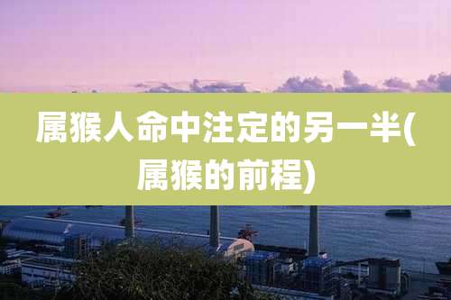 属猴人命中注定的另一半(属猴的前程)