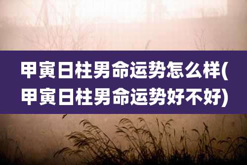 甲寅日柱男命运势怎么样(甲寅日柱男命运势好不好)