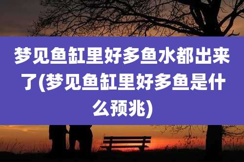 梦见鱼缸里好多鱼水都出来了(梦见鱼缸里好多鱼是什么预兆)