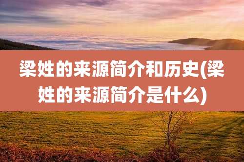 梁姓的来源简介和历史(梁姓的来源简介是什么)