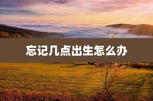 忘记几点出生怎么办