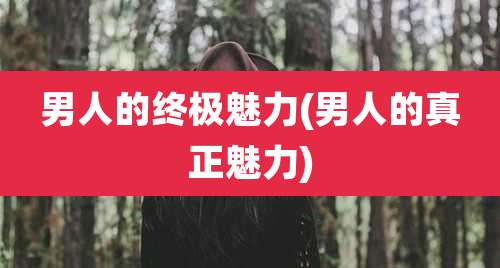 男人的终极魅力(男人的真正魅力)